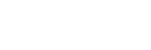 3000 Bass