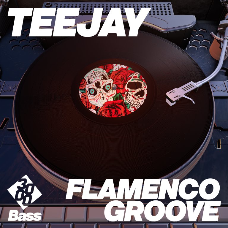 TeeJay - Flamenco Groove [3000 Bass]