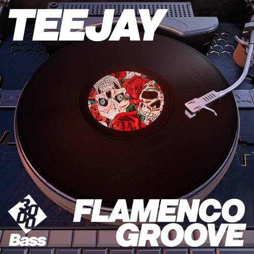 TeeJay - Flamenco Groove [3000 Bass]